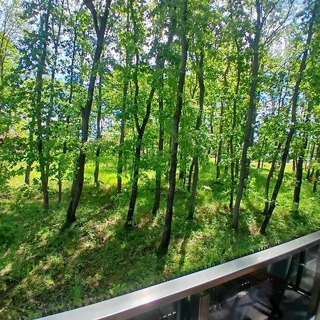 Apartman One